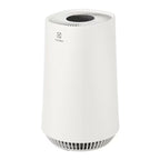 Electrolux Ultimate Home 300 air purifier.