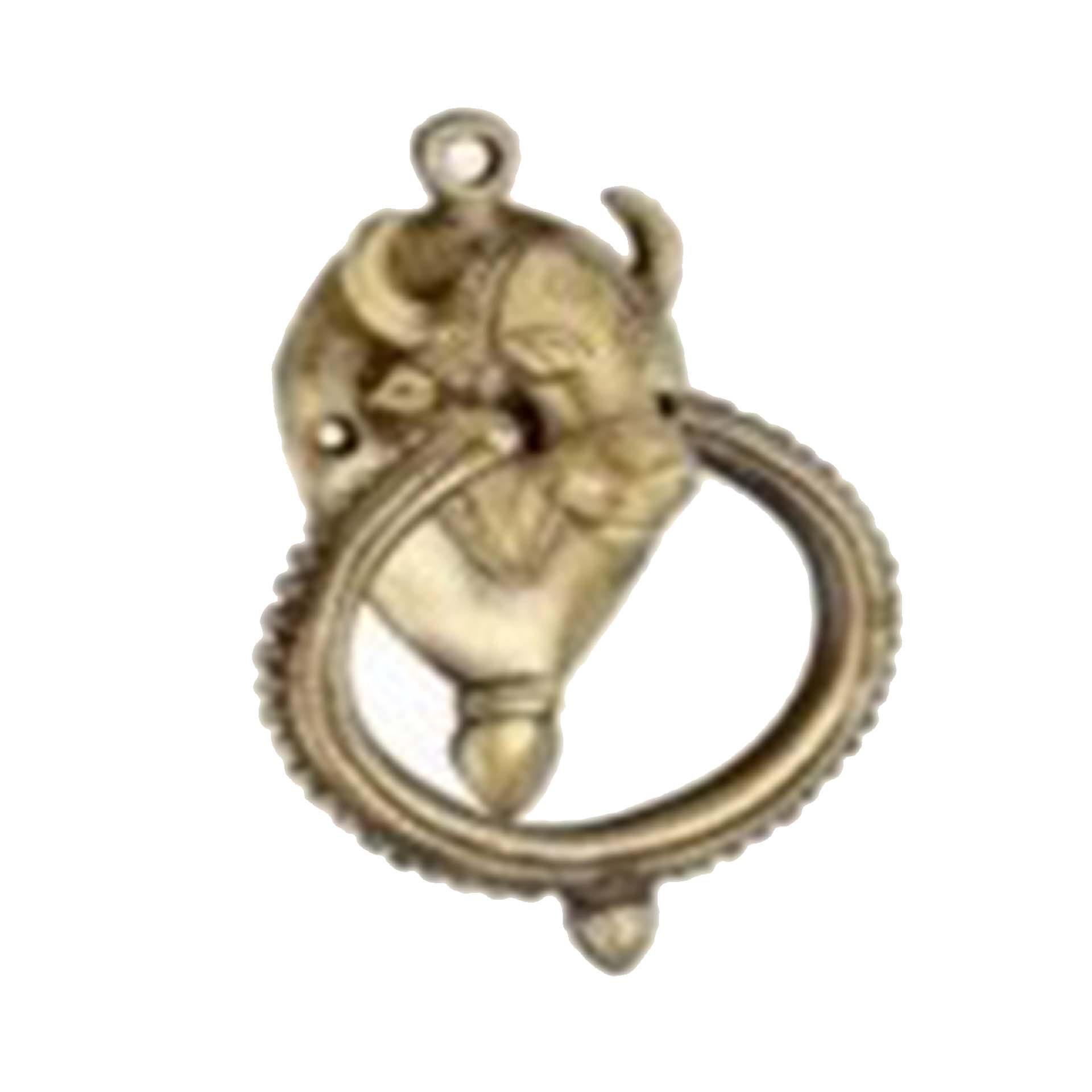 BRASS DOOR KNOCKERS