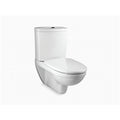kohler-Odeon  wall-hung toilet with exposed tank with Quiet-Close seat and cover
