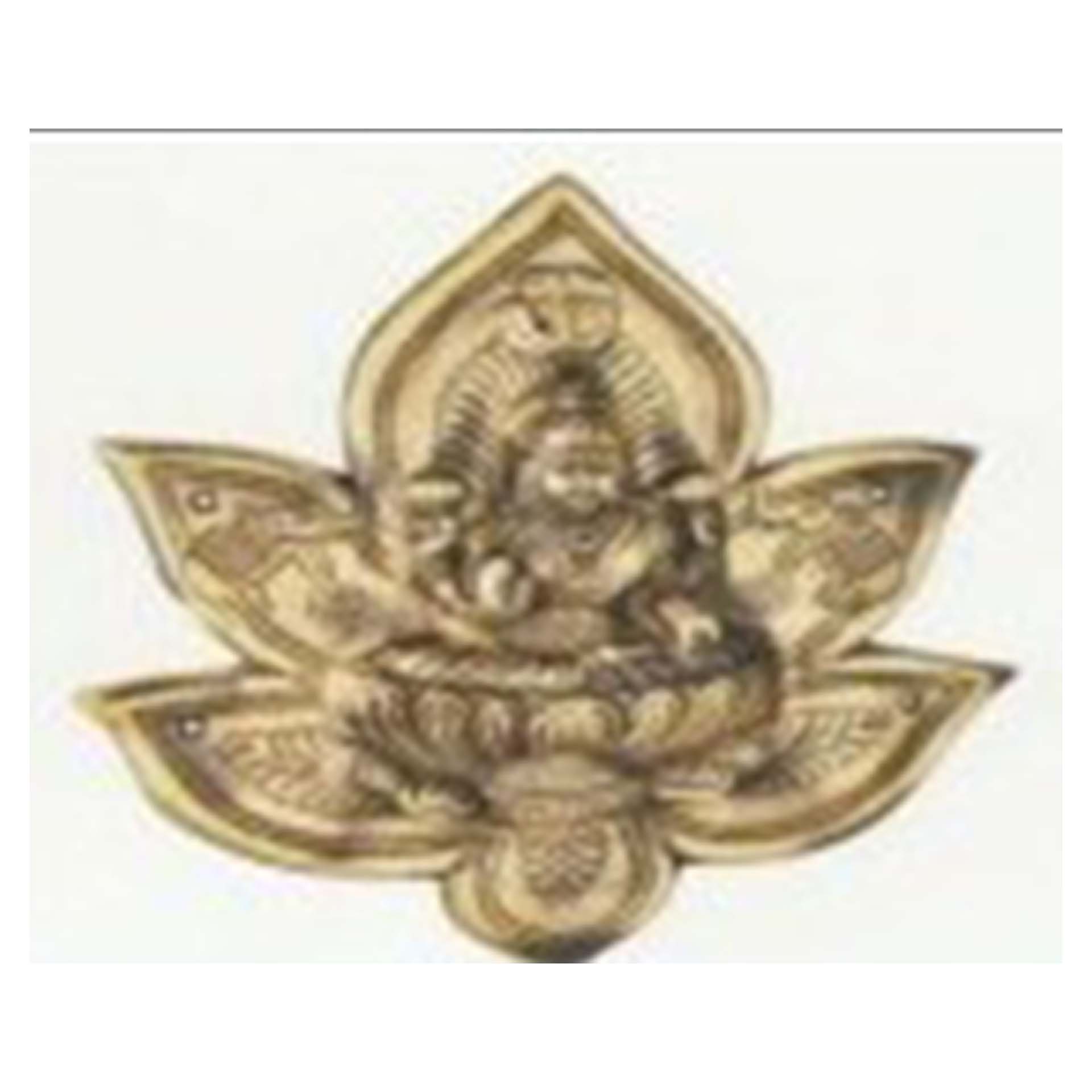 BRASS DOOR KNOCKERS