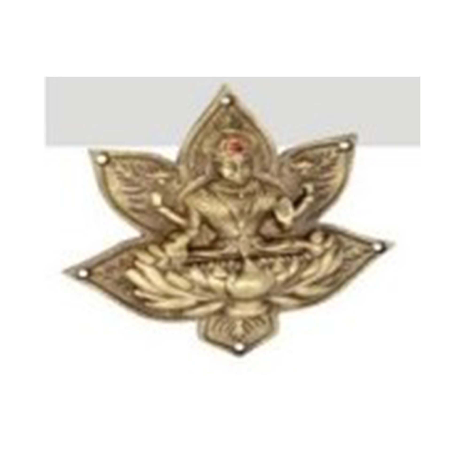 BRASS DOOR KNOCKERS