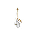 Jaquar 1 LT Clear Glass Pendant