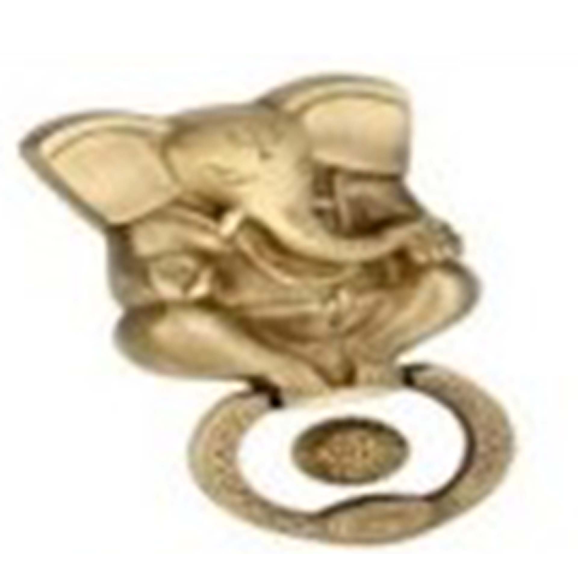 BRASS DOOR KNOCKERS
