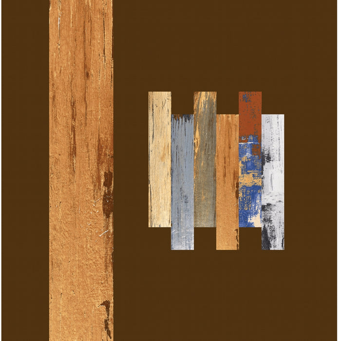 Collage Wood Kajaria Gres Tough Planks Tile