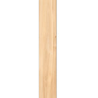 Kashmir Willow Kajaria Gres Tough Planks Tile