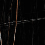 Saint Laurent Kajaria Vitronite Tile