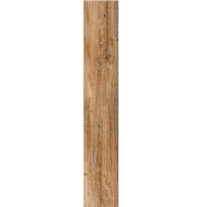 Siberian Pine Kajaria Gres Tough Planks Tile