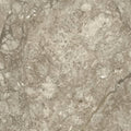 Williams Grey Kajaria Vitronite Tile