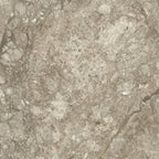 Williams Grey Kajaria Vitronite Tile