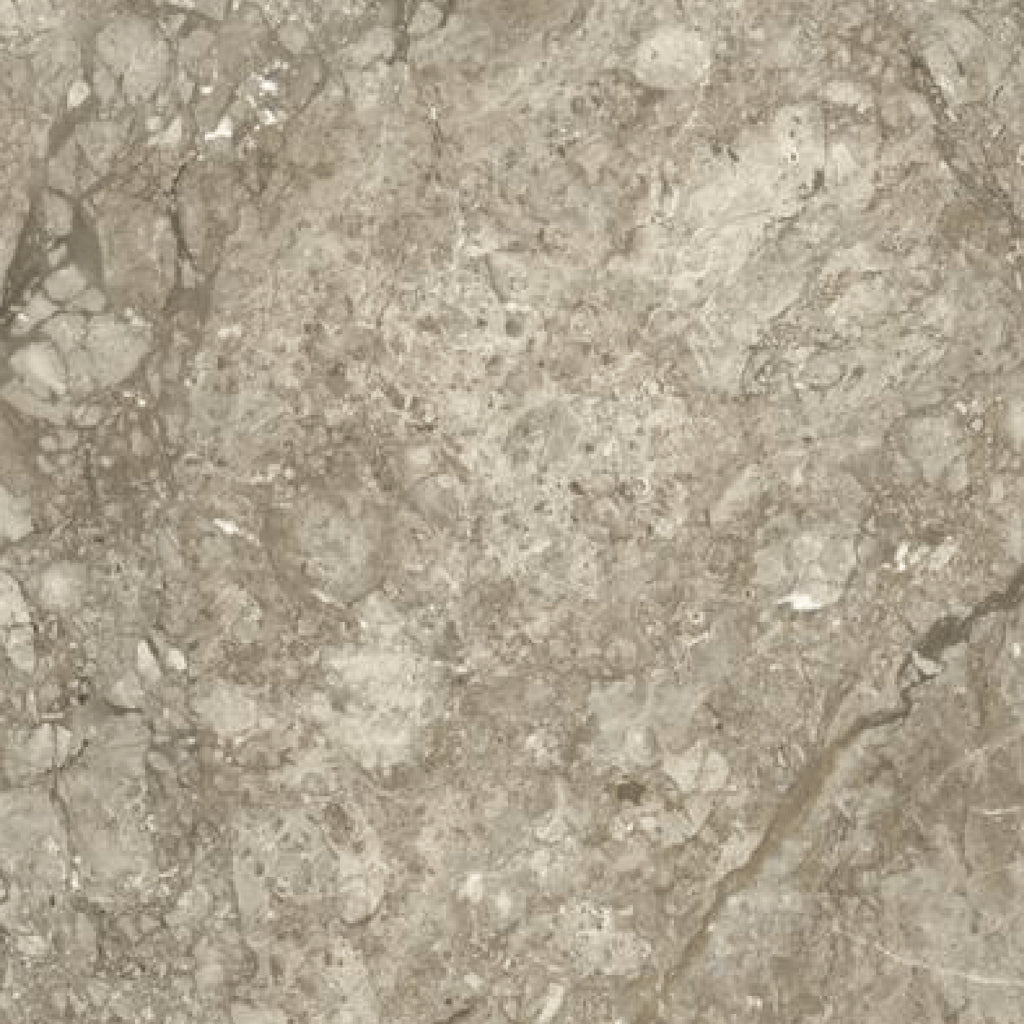 Williams Grey Kajaria Vitronite Tile