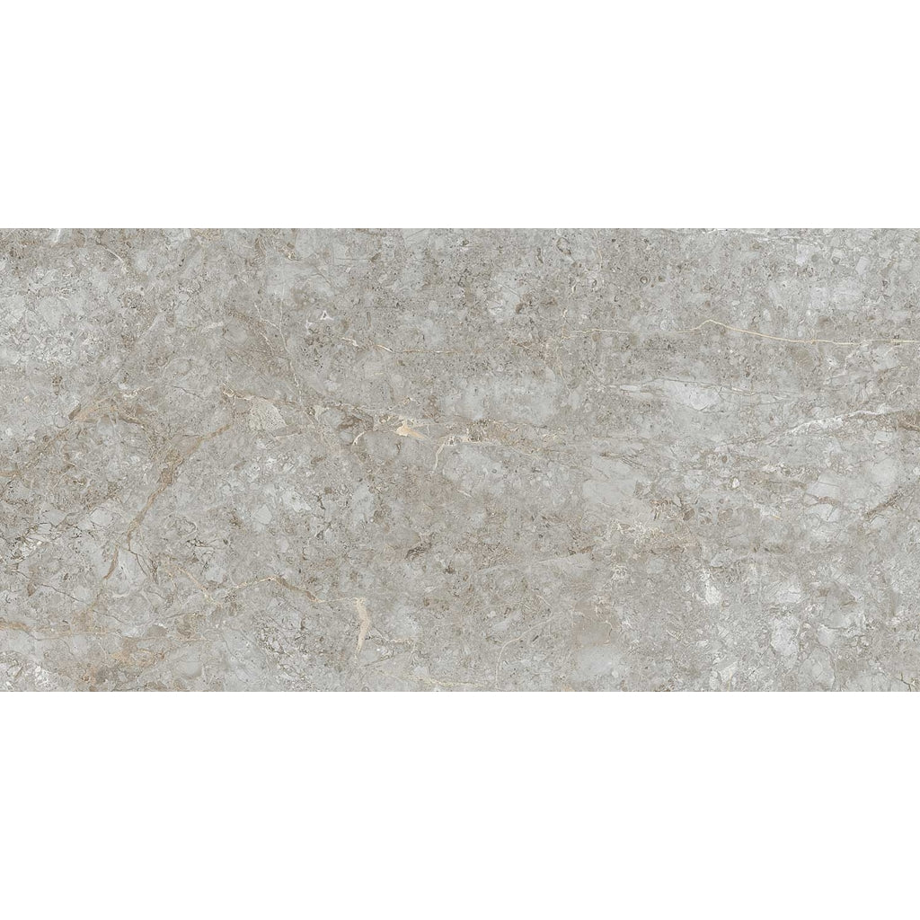 Williams Grey Ultima Kajaria Tile